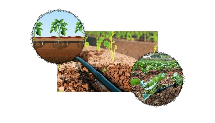 Damlama Sulama Sistemleri